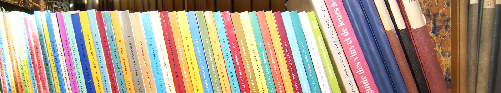 Viele Bücher auf einem Regal © Dienstleistungszentren Ländlicher Raum